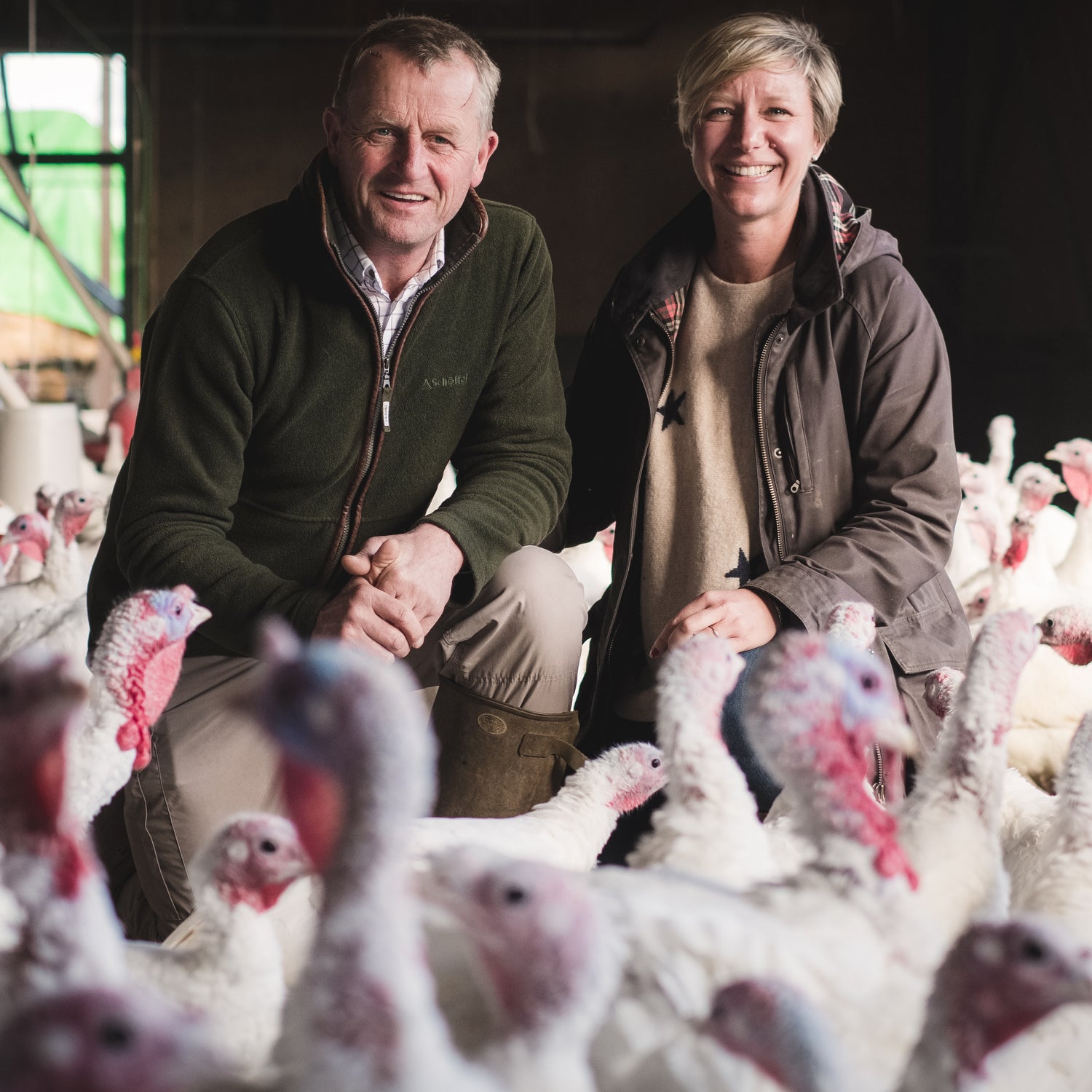 Traditional White Turkeys