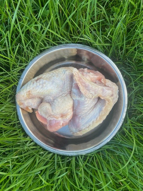 Pack of 2 Turkey Wings - Canines only