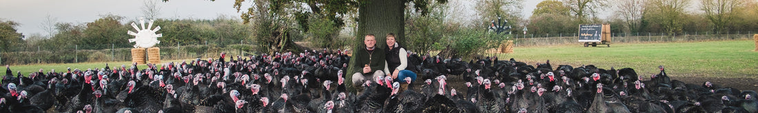 Christmas cockerels essex