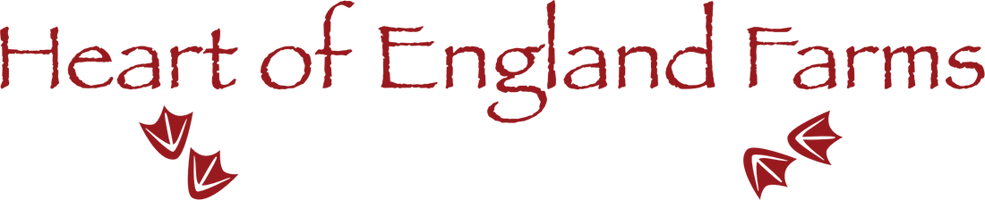 Capons for christmas